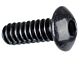 CA-02a - 98 Grip Screw
